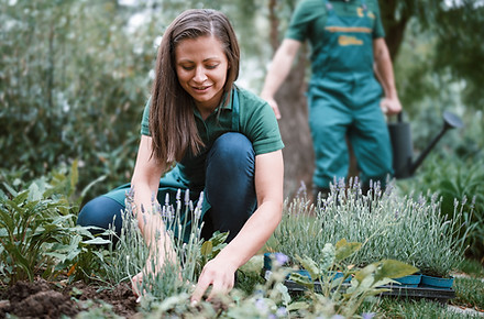 Our team hard at work at lawn maintenance
