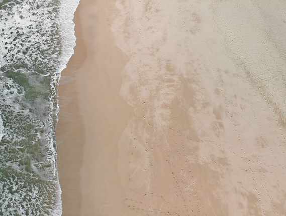 freshly mowed, clean lawn in front of ho